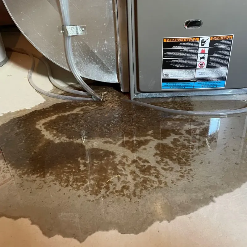 Pipe Burst and Leak Restoration in Hebron, MD