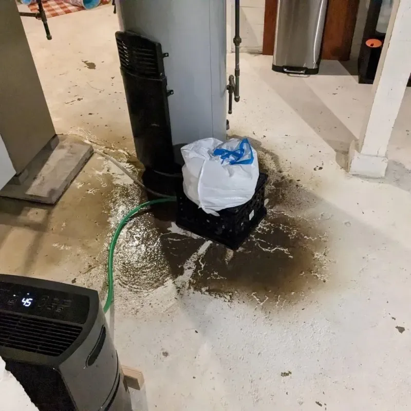 Sewage Backup Cleanup Service in Hebron, MD
